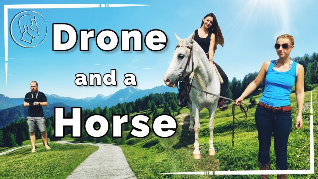 Drone and a Horse